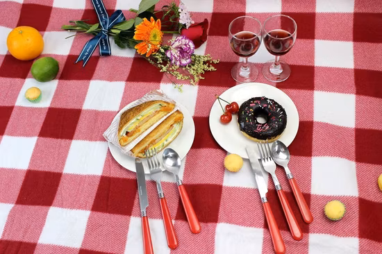 PEVA 뒤를 가진 가죽 결박 꼬리표 양털 방수 야영 매트 피크닉 담요 깔개